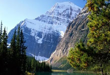 一届简约、绿色的亚冬会体现在哪里？2025-01-19.